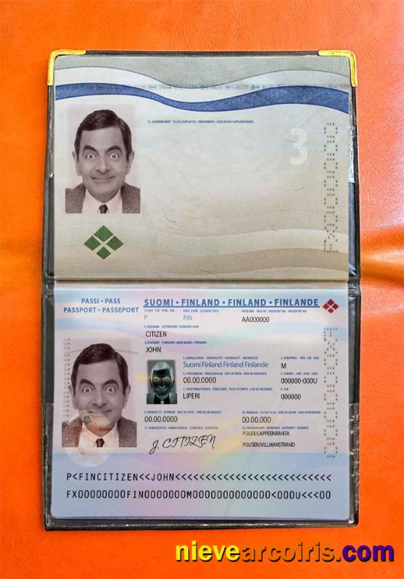 Finland Passport Photo Look Photolook
