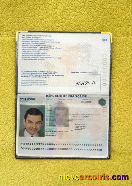 France Passport Photo Look Sample