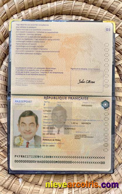 France Passport Version 2 Photo Look Sample