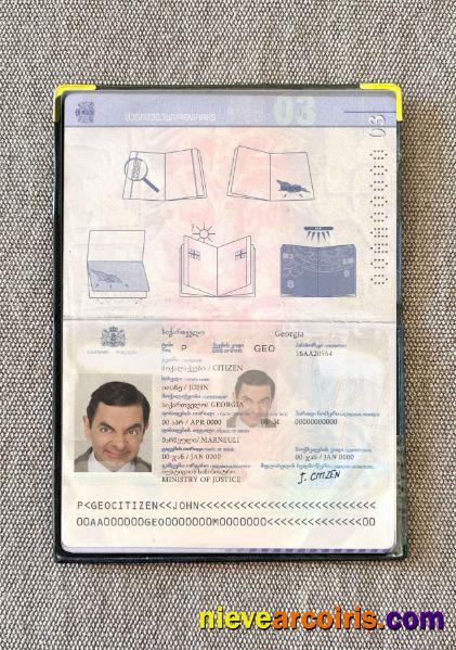 Georgia Passport Photo Look Template