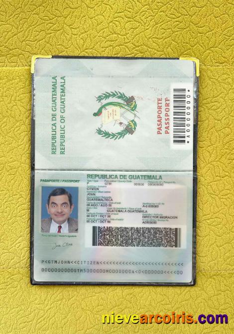 Guatemala Passport Photo Look Preview