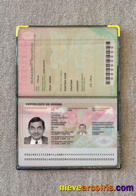 Guinea Passport (2018 Present) Photo Look Photolook