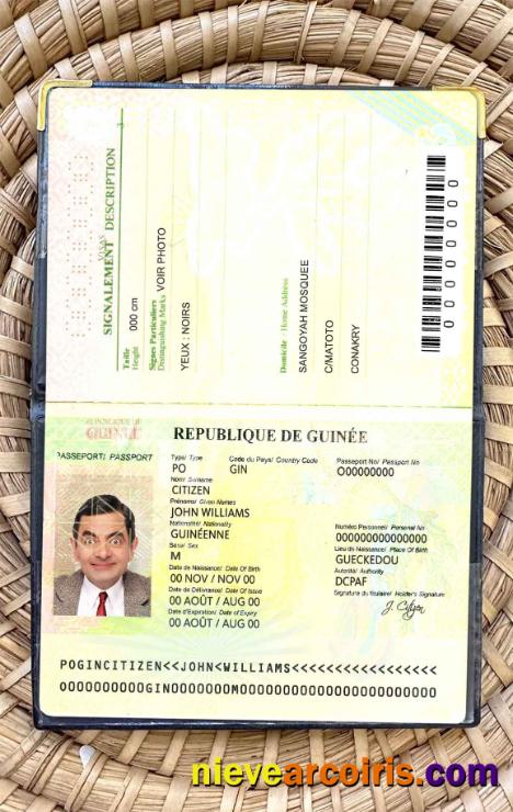 Guinea Passport Photo Look Sample