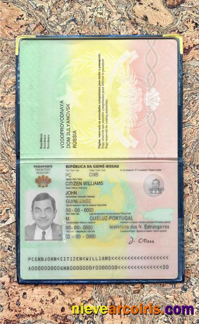 Guinea Bissau Passport Photo Look Preview