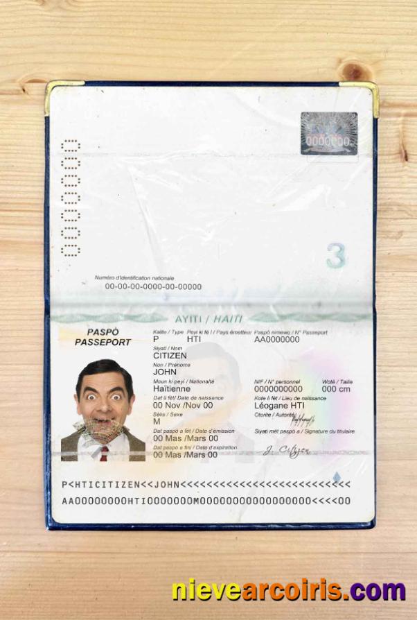 Haiti Passport Photo Look Template