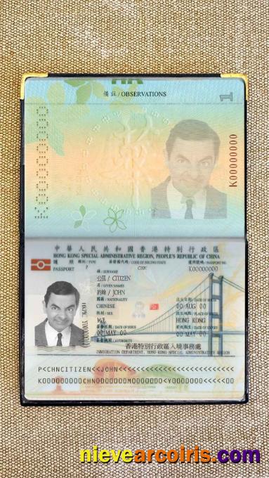 Hong Kong Pass Photo Look Preview