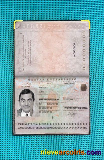 Hungary Passport Photo Look Template