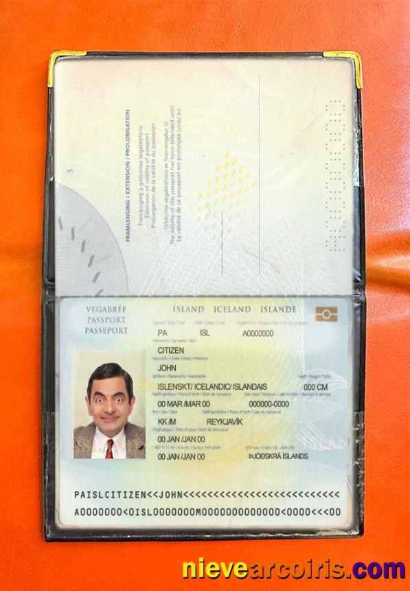 Iceland Pass Photo Look Sample