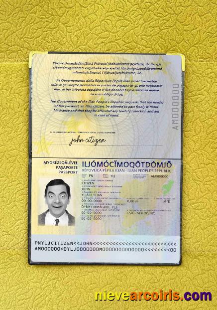 Ilia Passport Photo Look Template