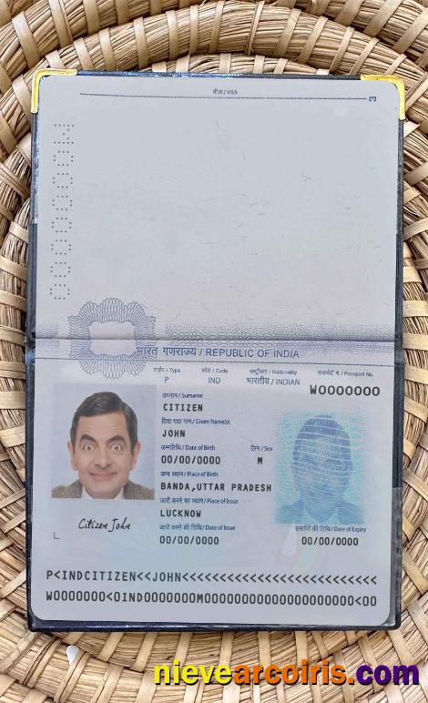 India Pass 2020 Present Photo Look Photolook