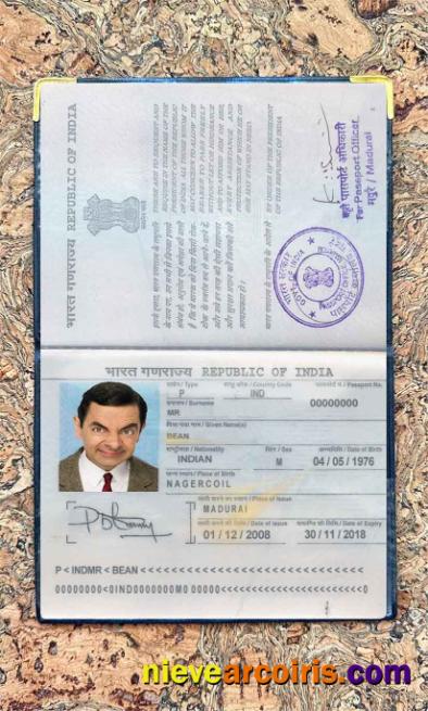 India Passport Photo Look Template