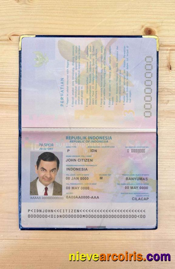 Indonesia Pass Photo Look Preview