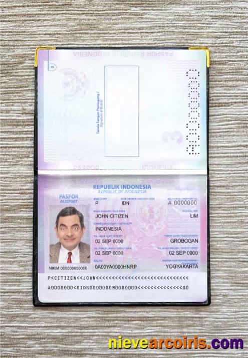 Indonesia Passport Version 2 Photo Lokk Photolook