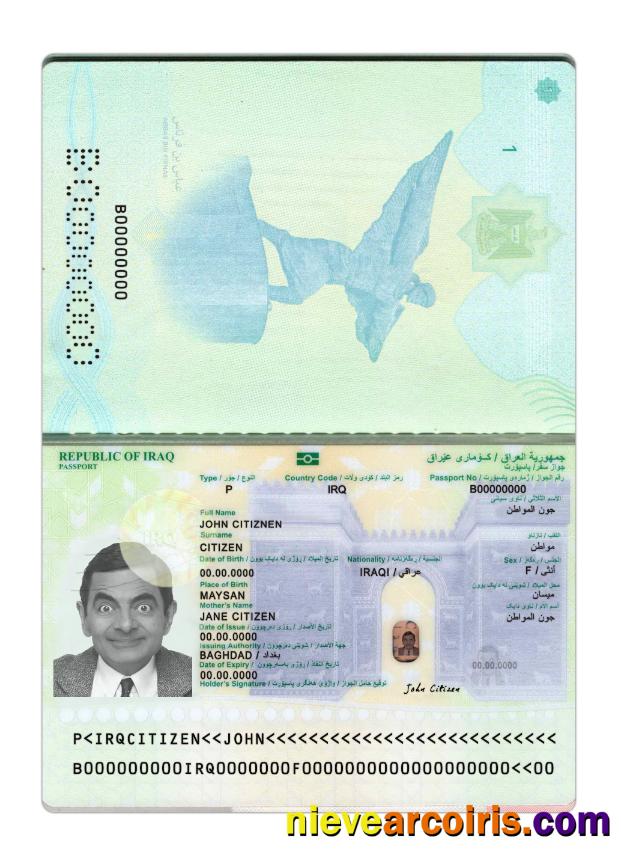 Iraq Passport 2024 Present Photolook