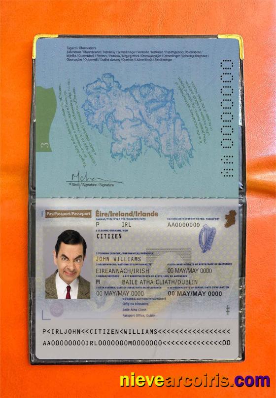 Ireland Passport Photo Look Preview
