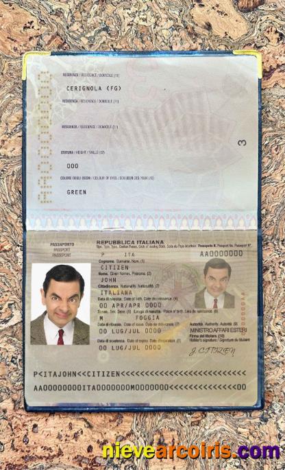 Italy Passport Photo Look Template