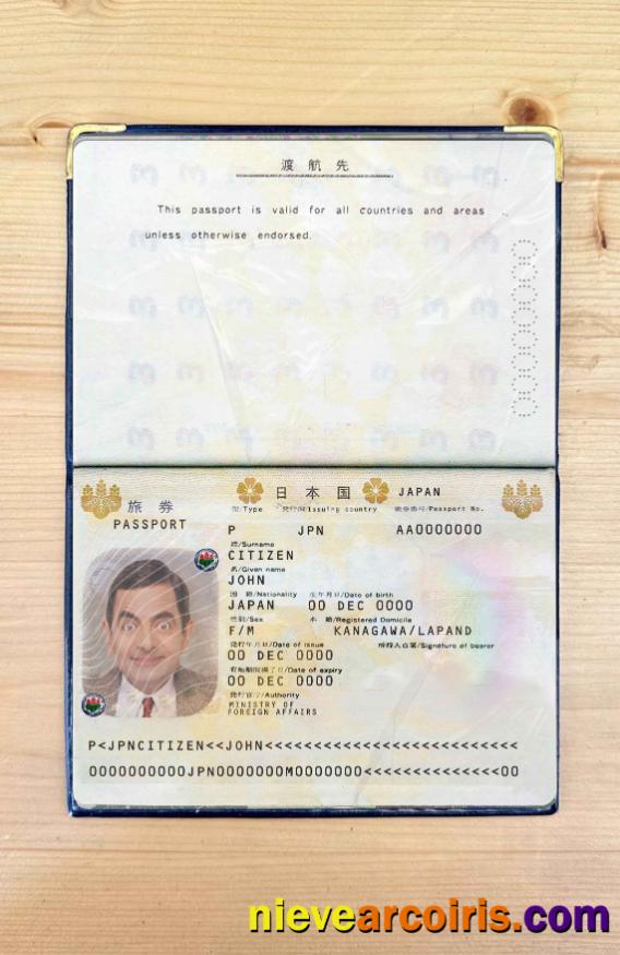 Japan Pass Photo Look Photolook