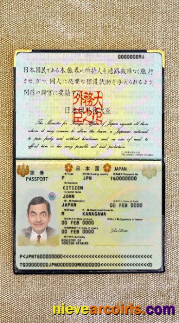 Japan Passport 2005 2015 Photo Look Template