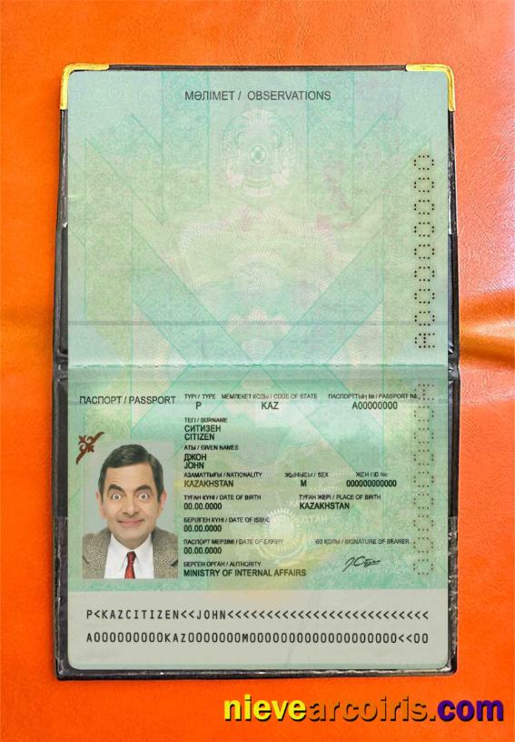 Kazakhstan Passport (2009 Present) Photo Look Template