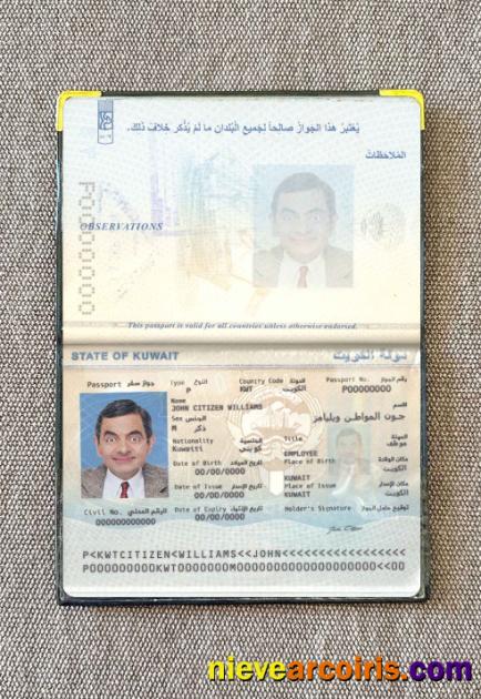 Kuwait Passport Photo Look Preview