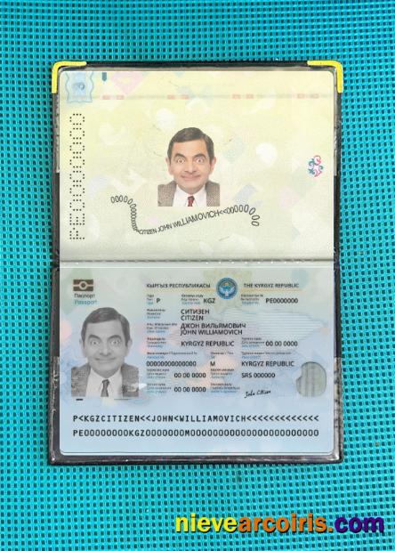 Kyrgyzstan Passport 2021 Present Photolook Photolook