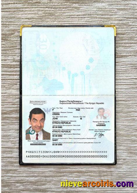 Kyrgyzstan Passport Photo Look Preview