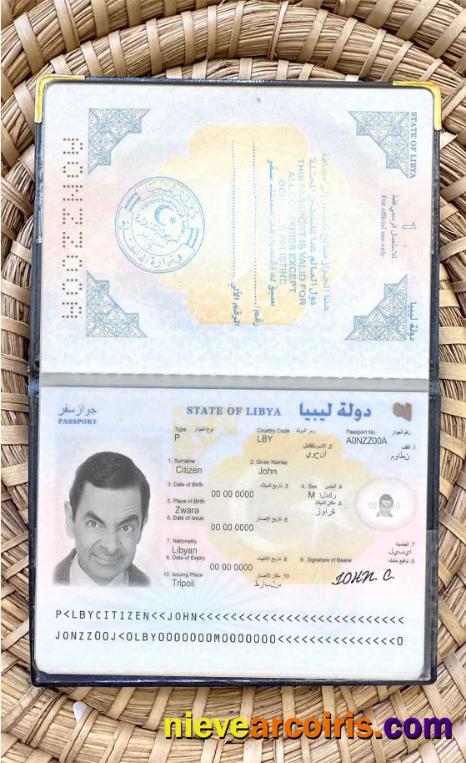 Libya Passport Photo Look Photolook
