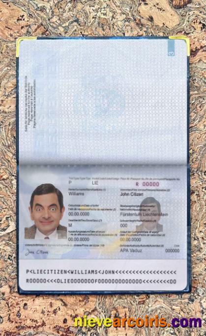 Liechtenstein Pass Photo Look Preview