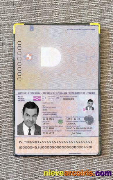 Lithuania Passport Photo Look Preview
