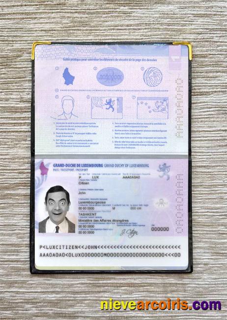 Luxembourg Passport Photo Look Photolook