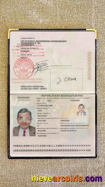 Madagascar Passport Photo Look Sample