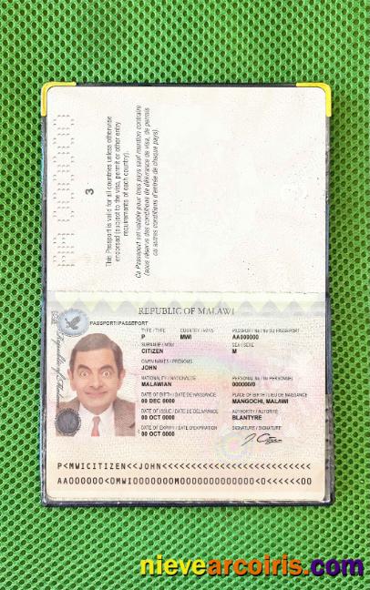Malawi Passport Photo Look Sample