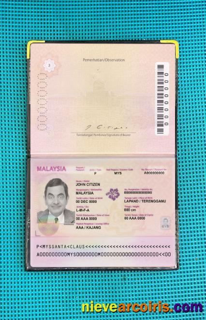 Malaysia Passport (2010 2017) Photo Look Sample