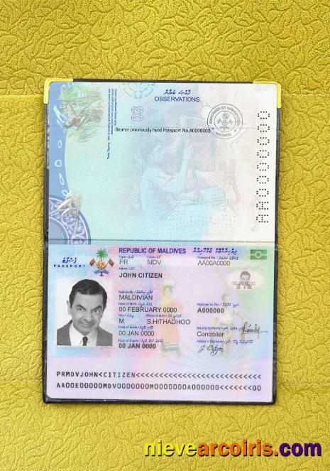 Maldives Passport Photo Look Template