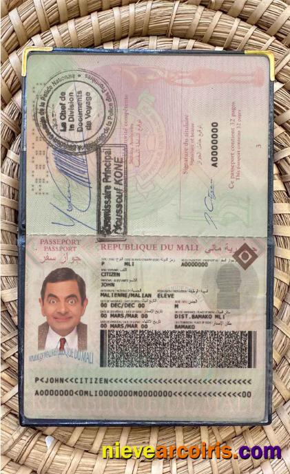 Mali Passport Photo Look Preview