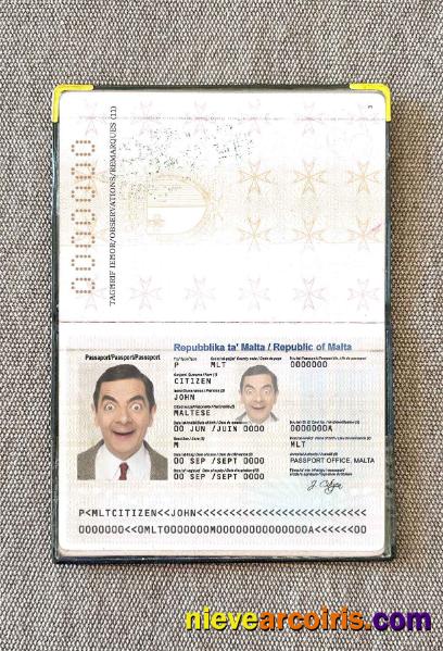 Malta Passport Photo Look Preview