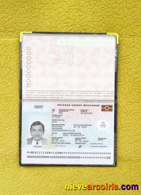 Mexico Passport New 2022 Present Photolook Preview