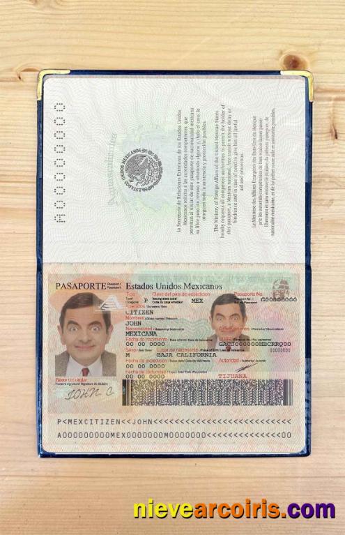 Mexico Passport Photo Look Preview