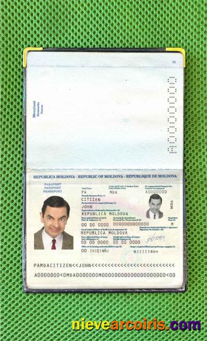 Moldova Passport (2011 2014) Photo Look Photolook