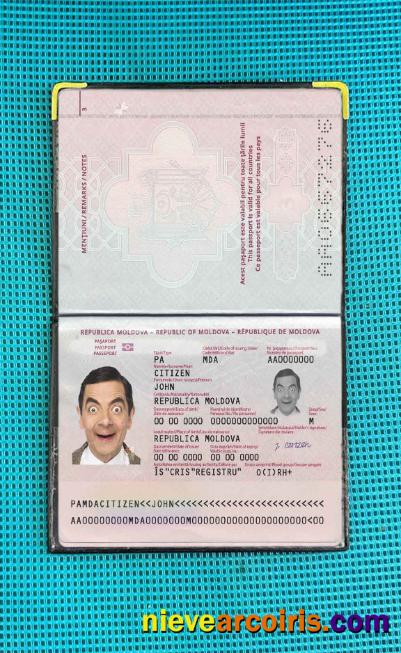 Moldova Passport (2014 Present) Photo Look Template