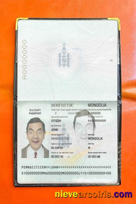 Mongolia Passport Photo Look Template