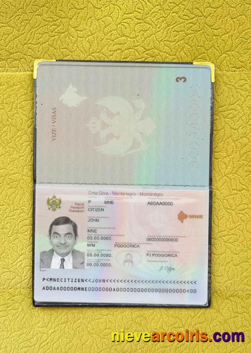 Montenegro Passport Photo Look Sample
