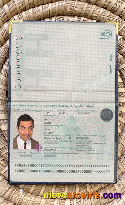 Morocco Passport Photo Look Preview