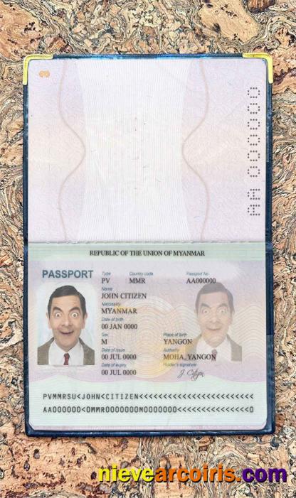 Myanmar Passport Photo Look Photolook