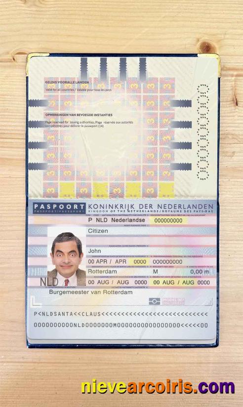 Netherlands (Holland) Passport (2006 2016) Photo Look Preview