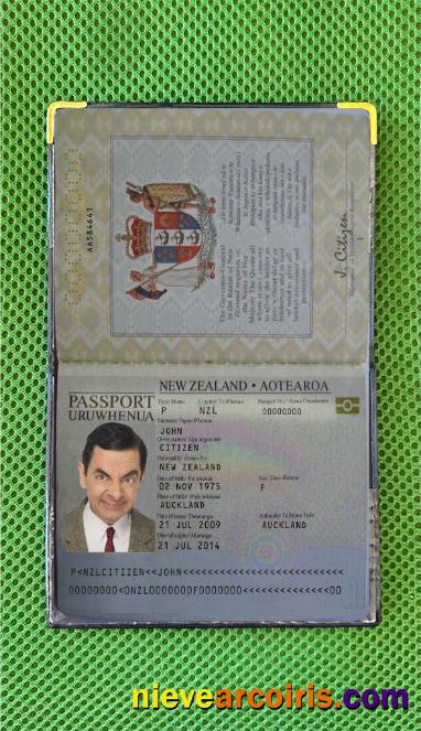 New Zealand Passport (2005 2009) Photo Look Preview