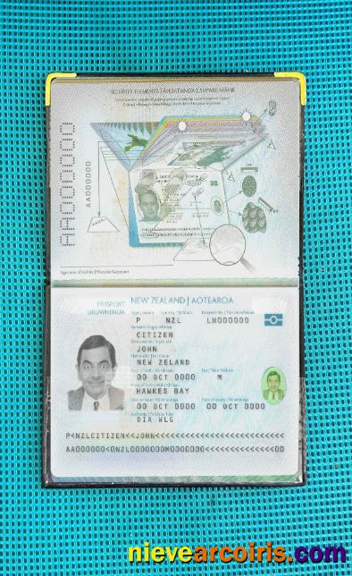New Zealand Passport (2005 Present) Photo Look Template