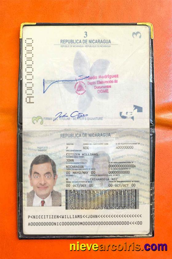 Nicaragua Pass Photo Look Template