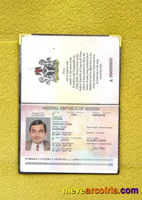 Nigeria Passport (2007 2019) Photo Look Preview