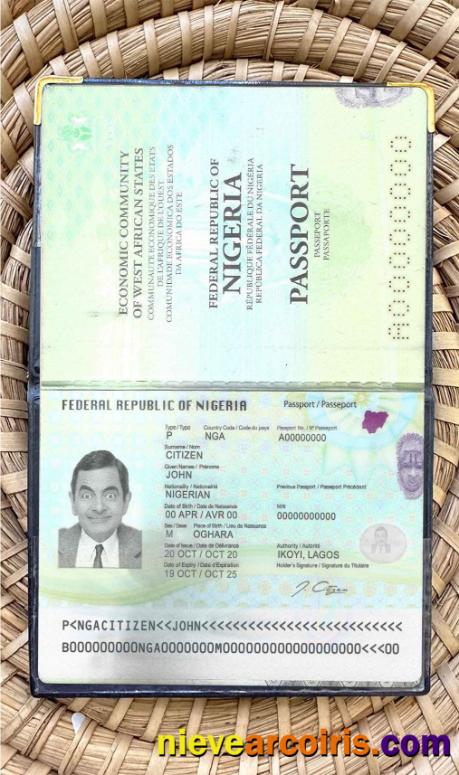 Nigeria Passport (2019 Present) Photo Look Sample